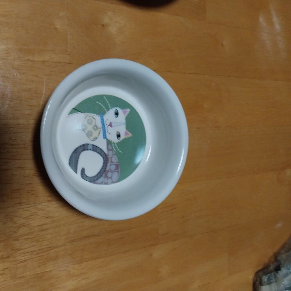 Petrageous Design Dish